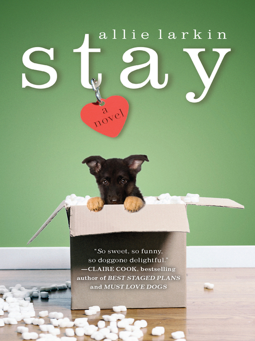 Title details for Stay by Allie Larkin - Available